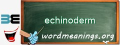 WordMeaning blackboard for echinoderm